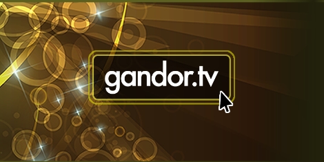 Caribbean website solutions by gandor.tv
