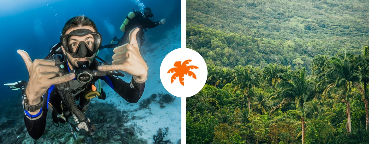 A diver giving a thumbs up and green rainforest hills